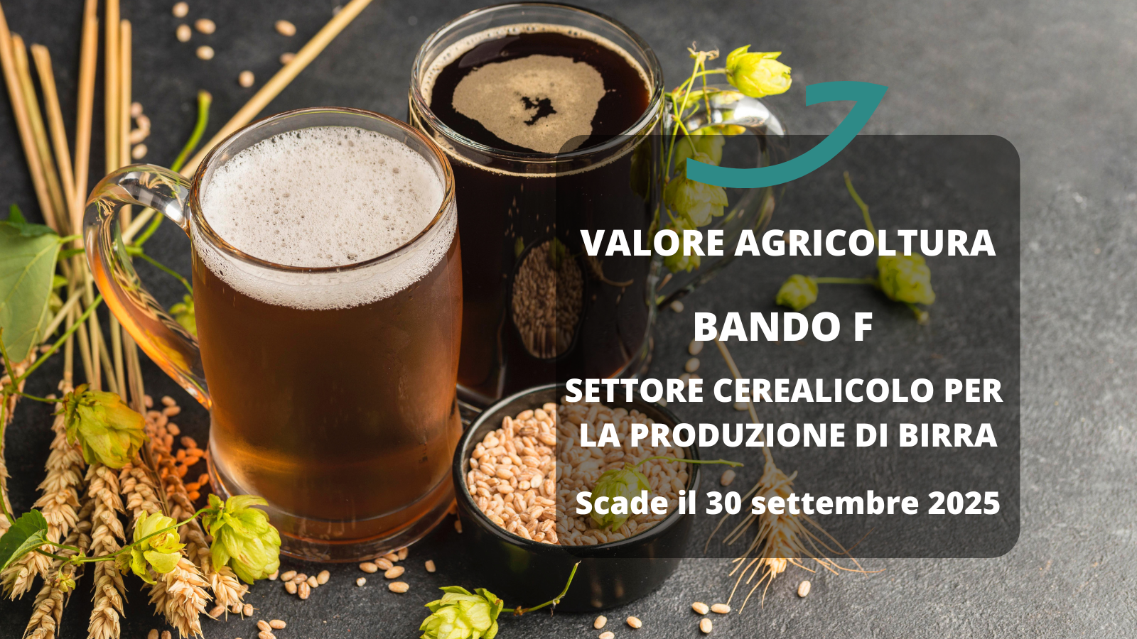 bando F settore cerealicolo birra